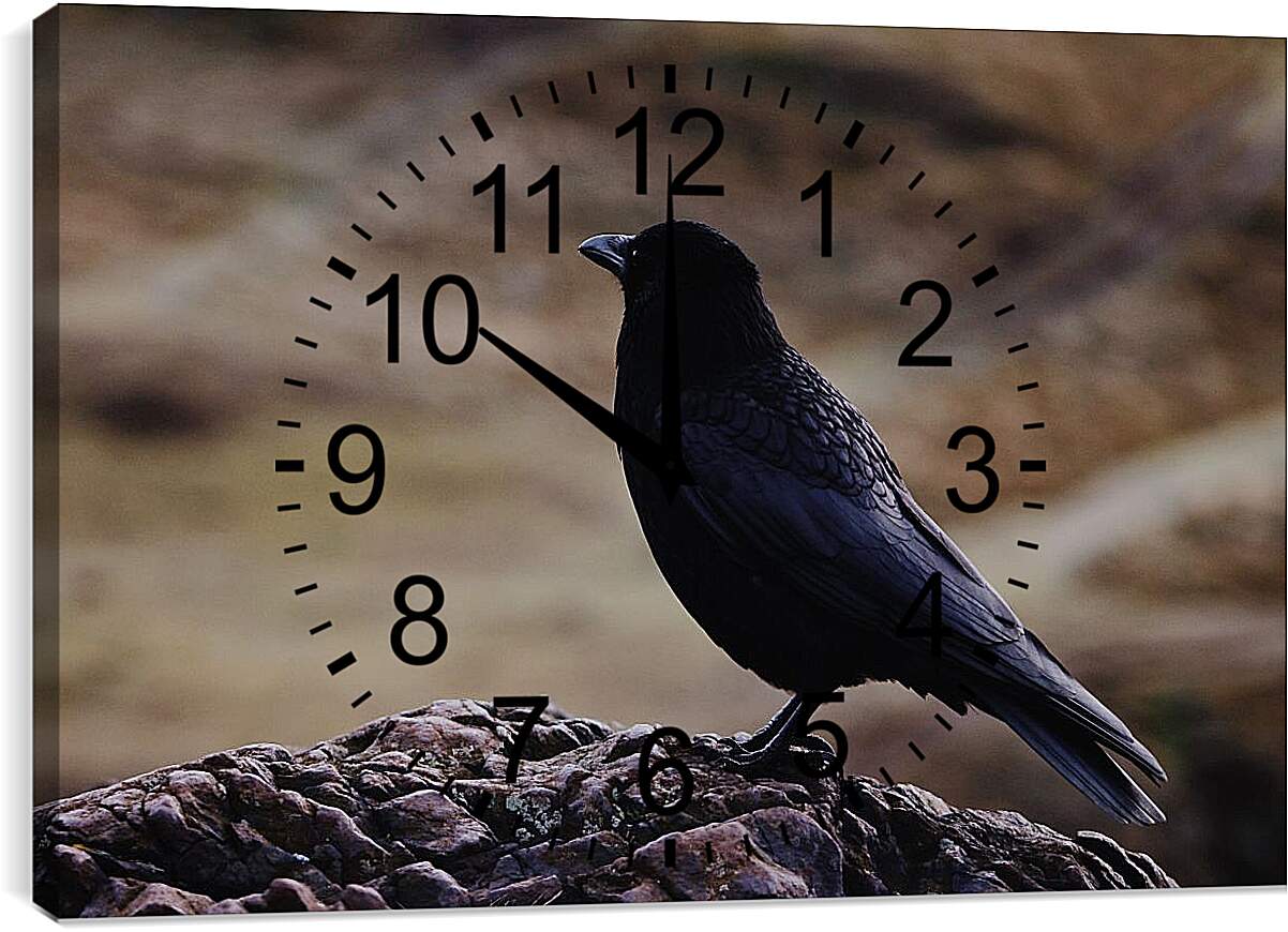 Часы картина - Чёрный ворон на камне