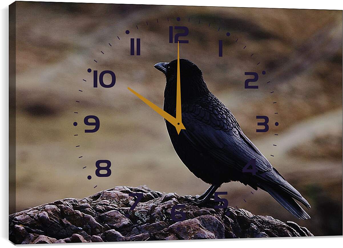 Часы картина - Чёрный ворон на камне