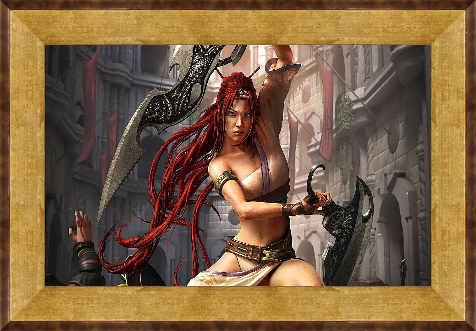 Картина в раме - Heavenly Sword
