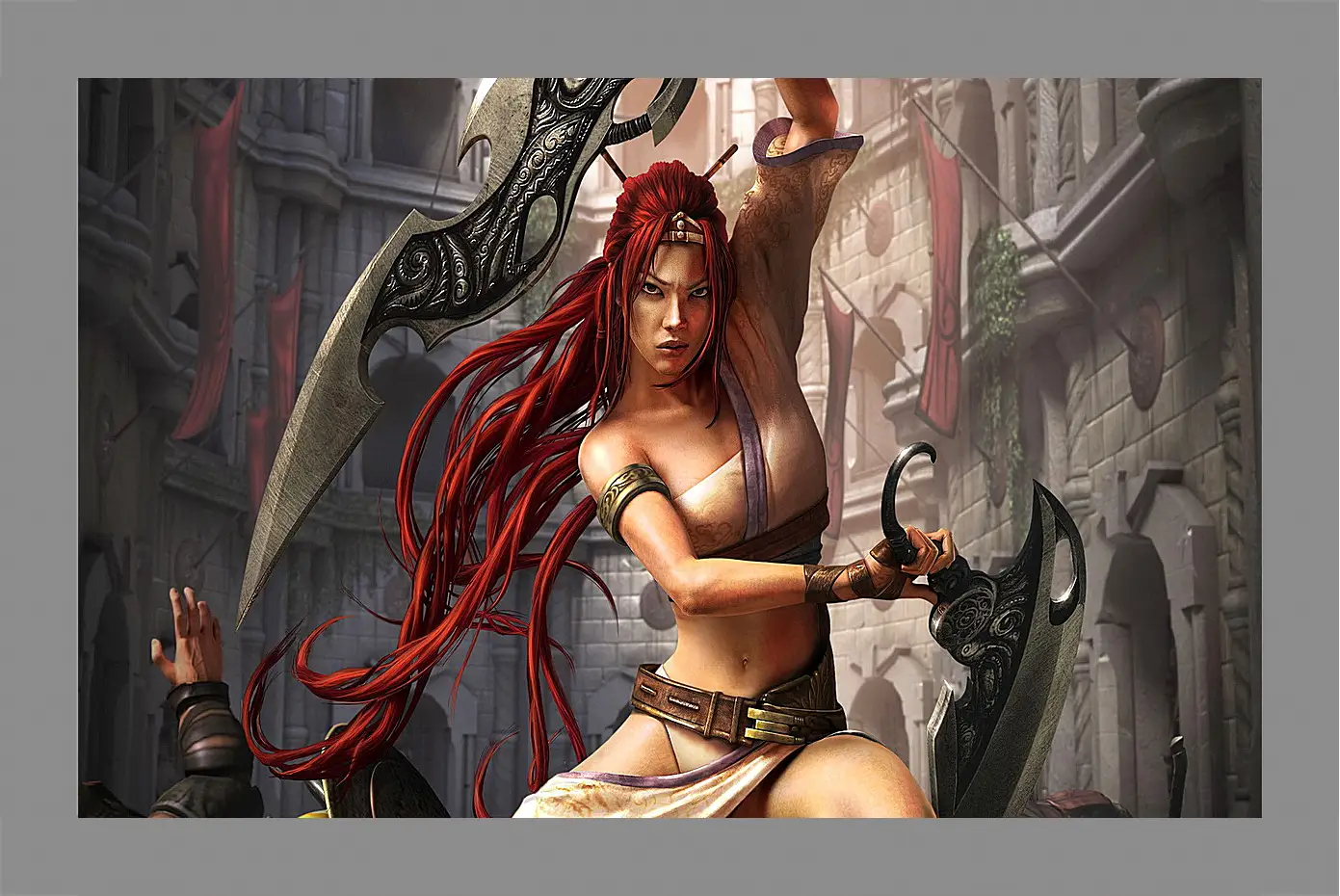 Картина в раме - Heavenly Sword
