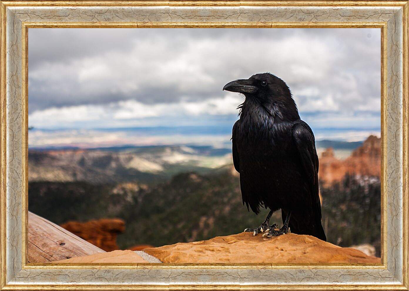 Картина в раме - Чёрный ворон на скале