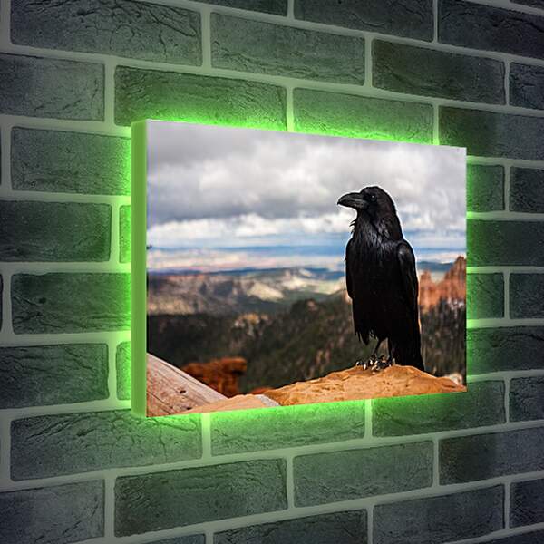 Лайтбокс световая панель - Чёрный ворон на скале