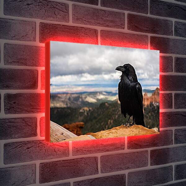 Лайтбокс световая панель - Чёрный ворон на скале