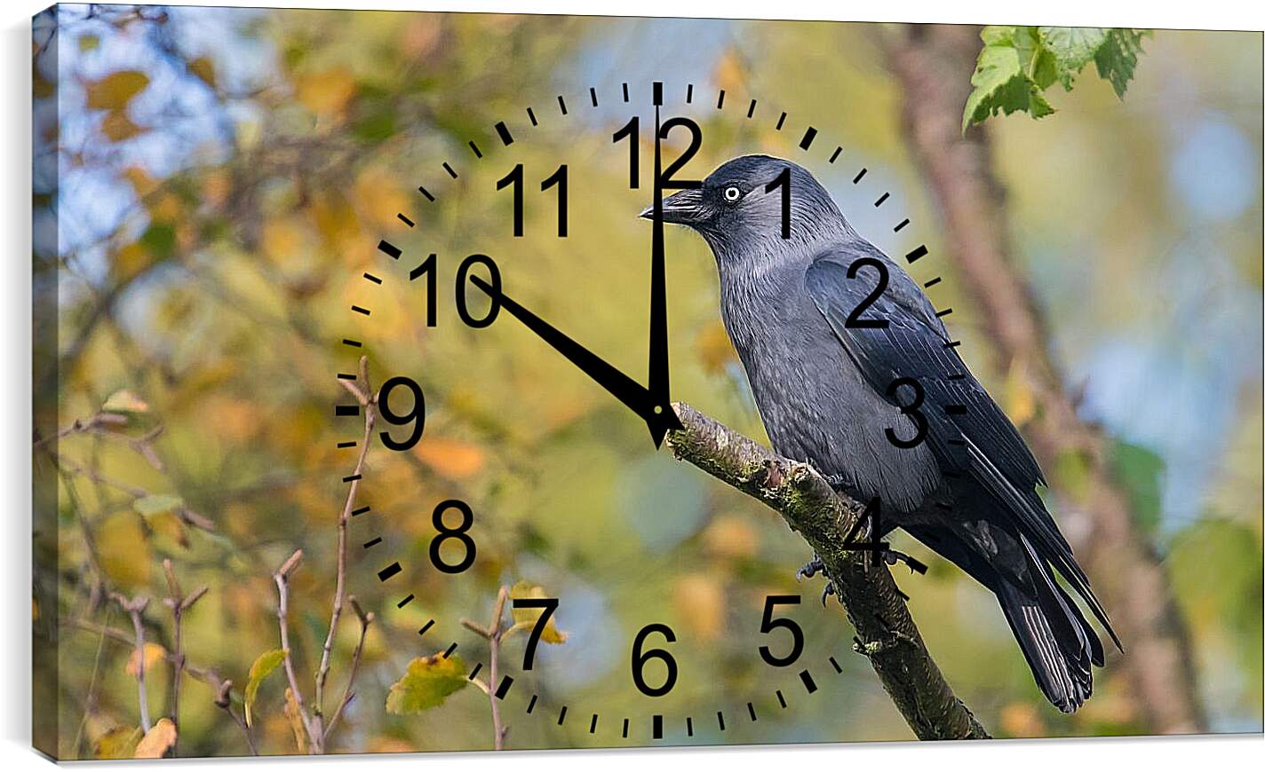 Часы картина - Чёрный ворон на ветке