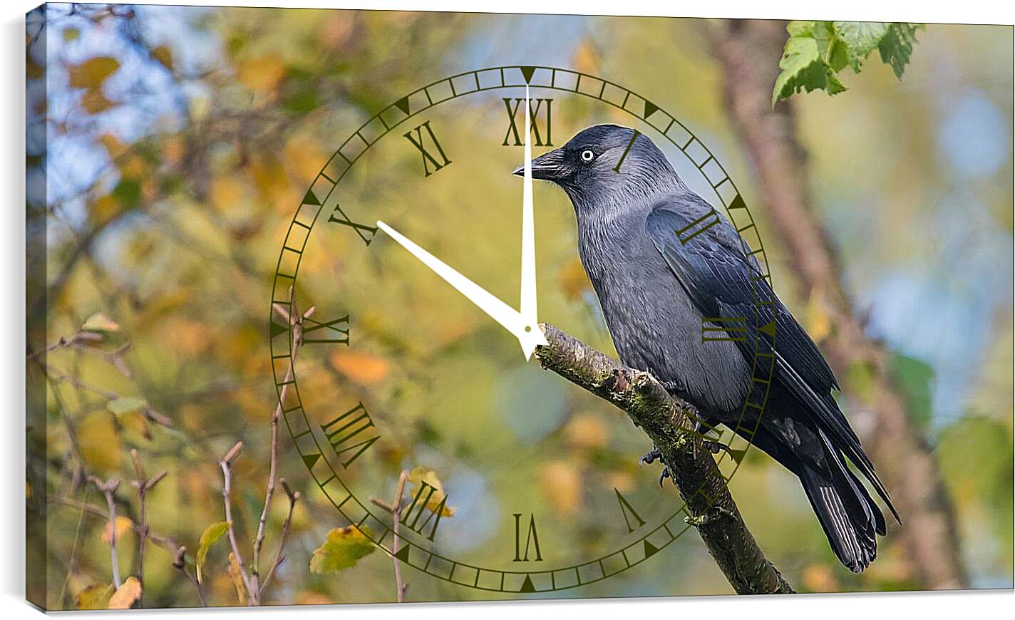 Часы картина - Чёрный ворон на ветке