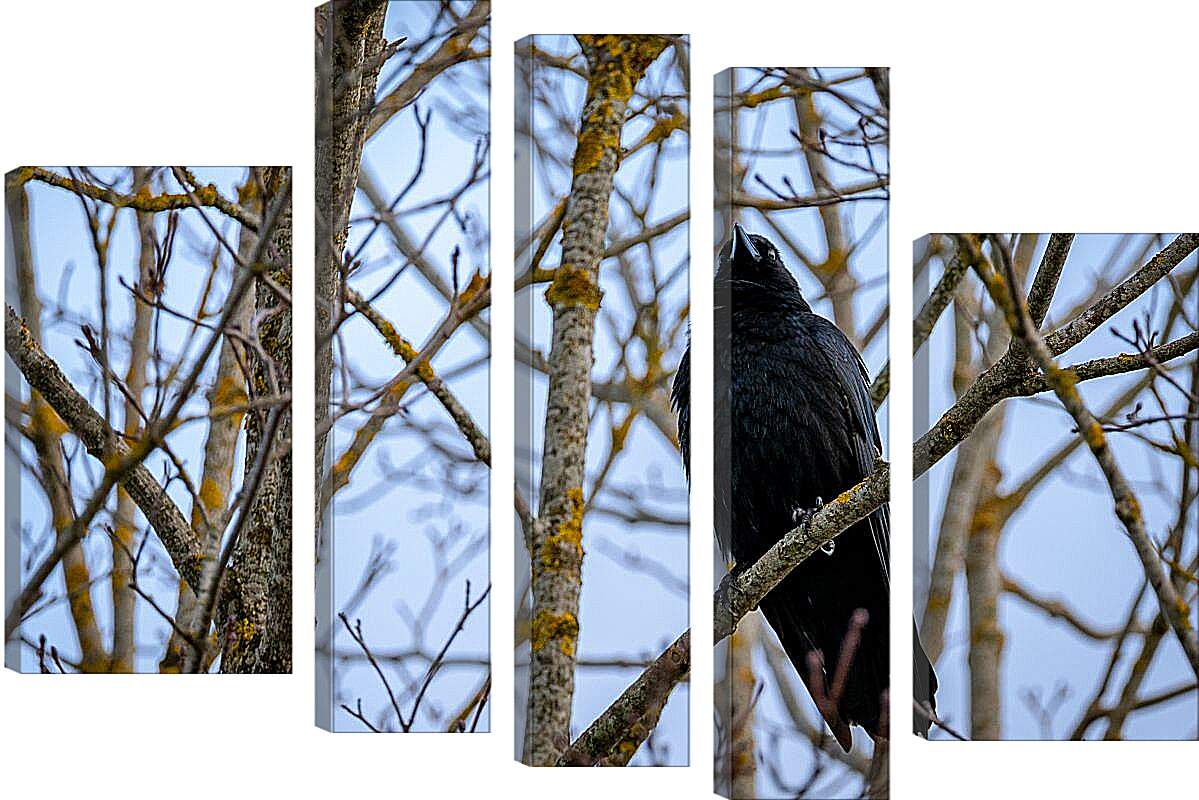 Модульная картина - Чёрный ворон в ветках