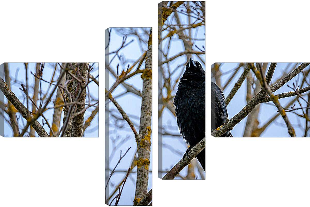 Модульная картина - Чёрный ворон в ветках