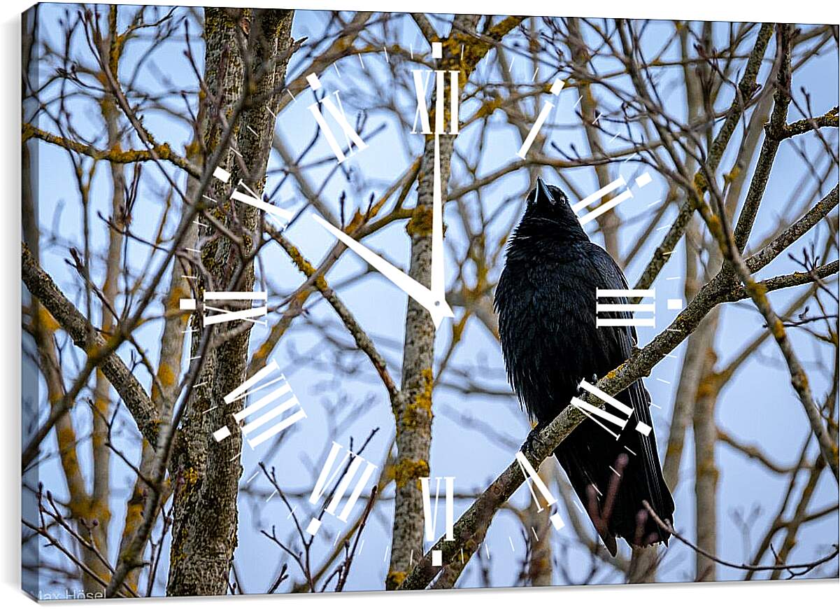 Часы картина - Чёрный ворон в ветках