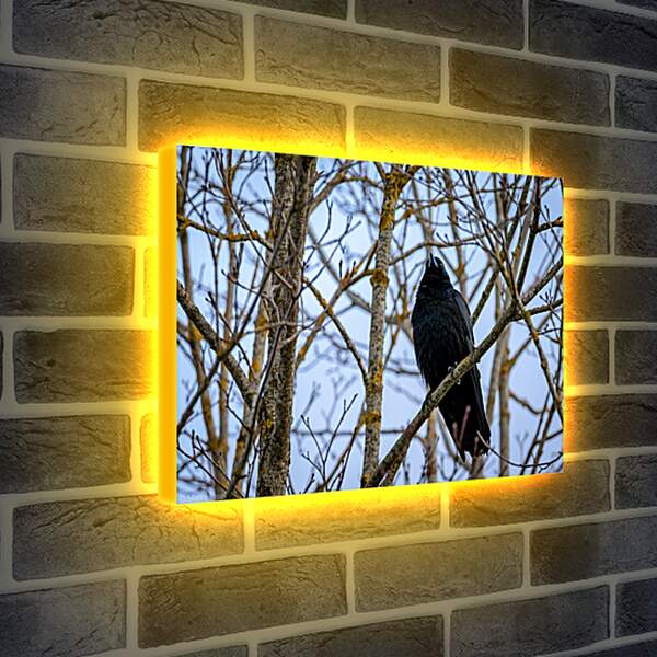 Лайтбокс световая панель - Чёрный ворон в ветках