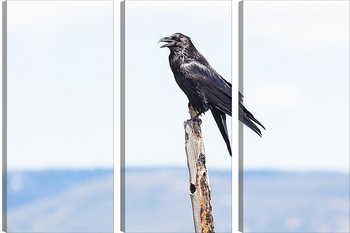 Модульная картина - Чёрный ворон сидит на палке