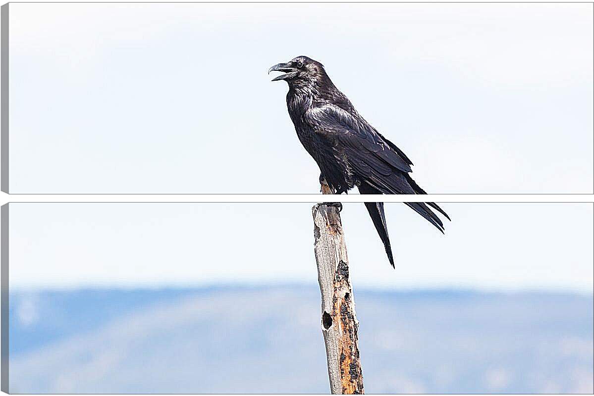Модульная картина - Чёрный ворон сидит на палке