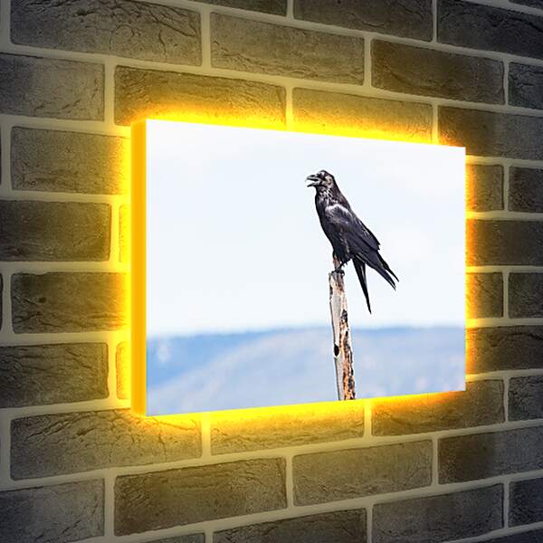 Лайтбокс световая панель - Чёрный ворон сидит на палке