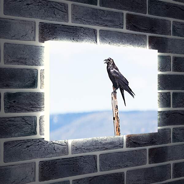 Лайтбокс световая панель - Чёрный ворон сидит на палке
