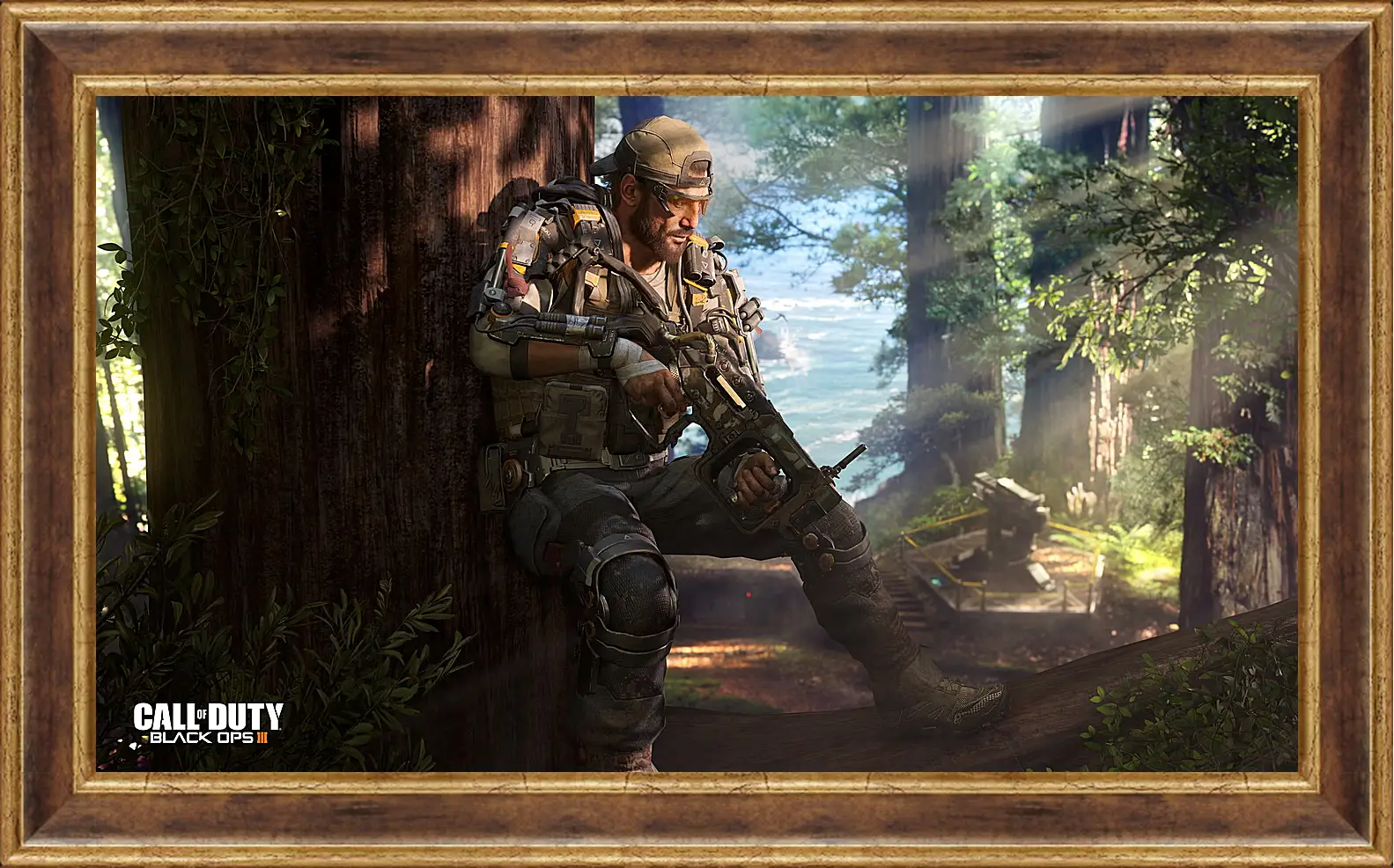 Картина в раме - Call Of Duty: Black Ops III
