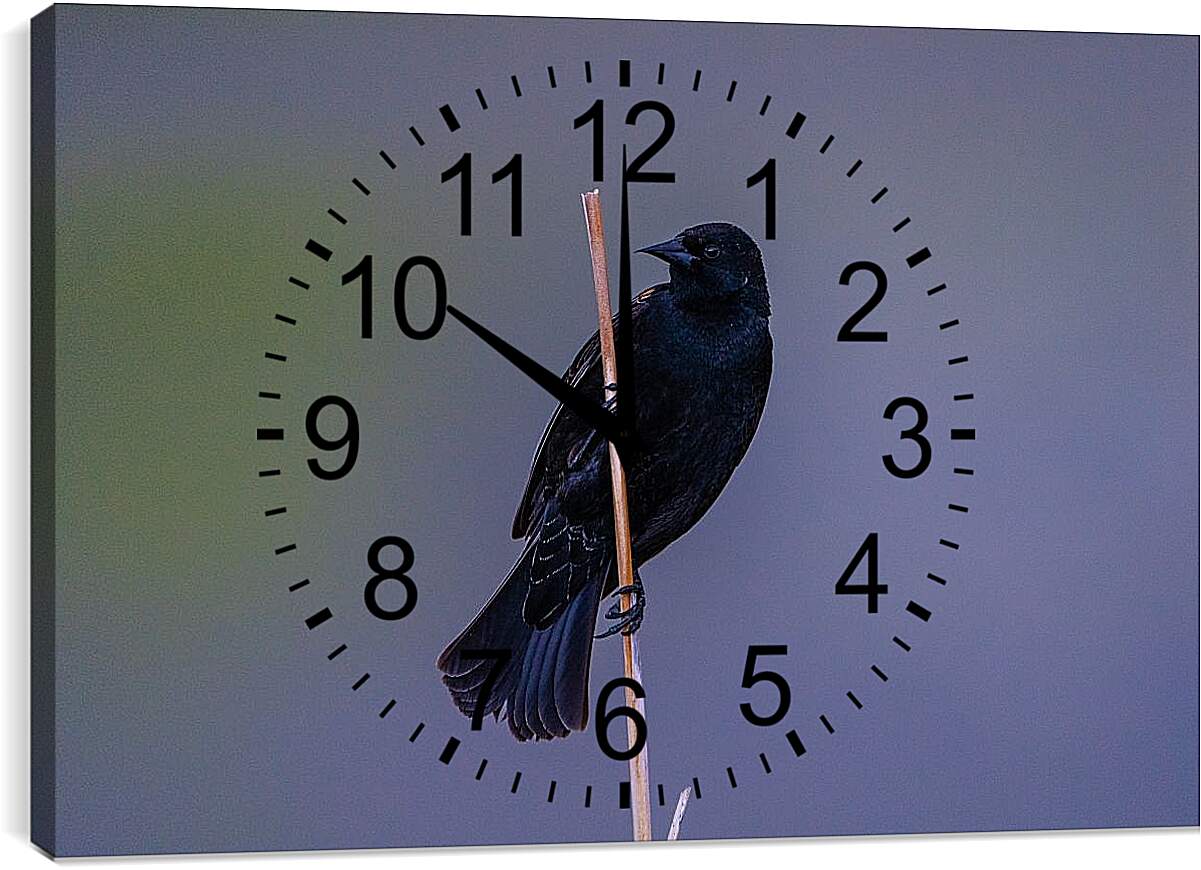 Часы картина - Чёрный ворон на палке