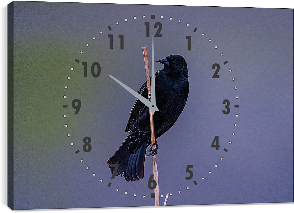 Часы картина - Чёрный ворон на палке