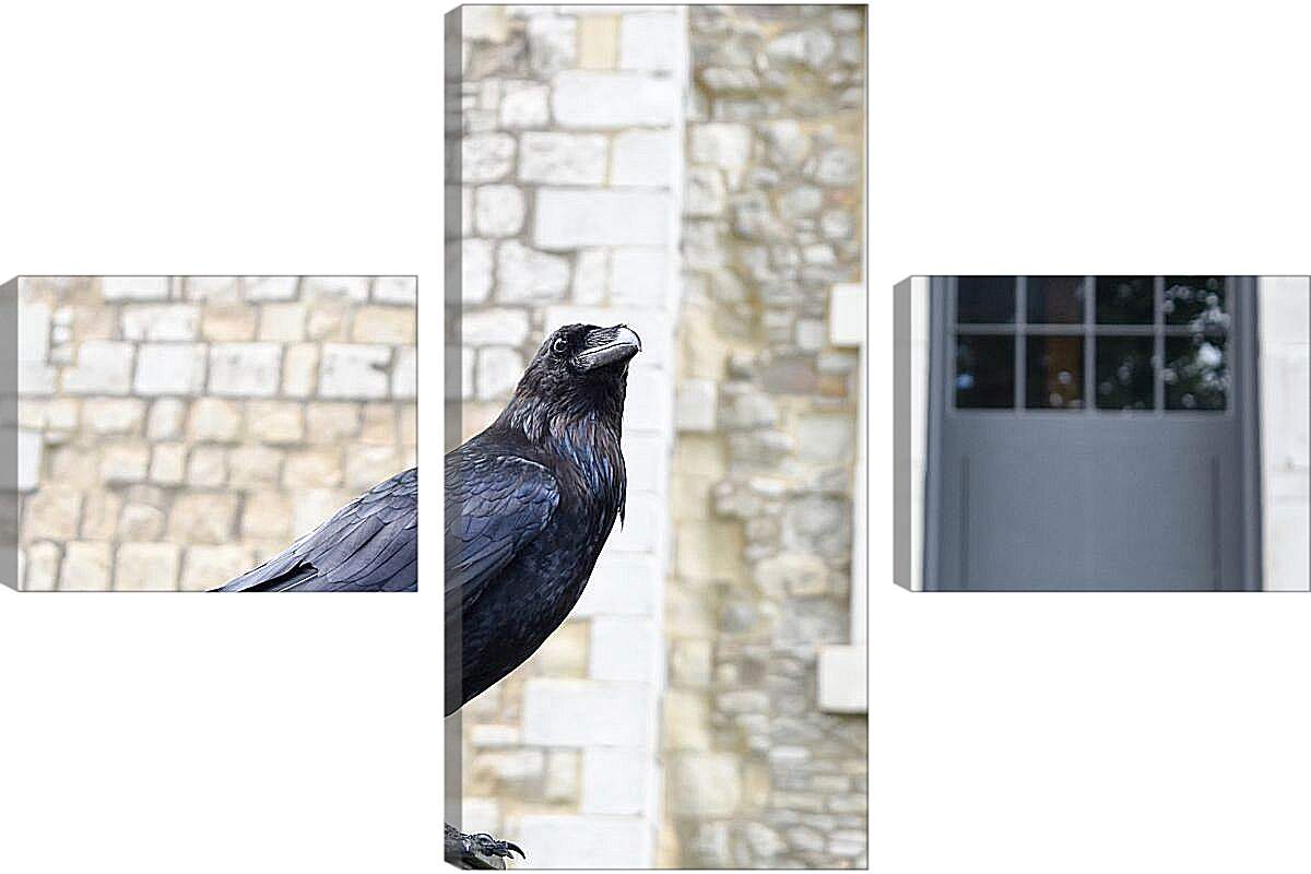 Модульная картина - Чёрный ворон на фоне кирпичной стены