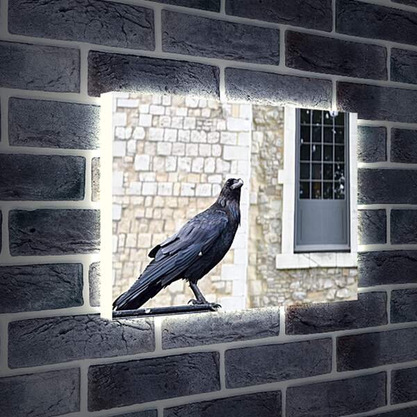 Лайтбокс световая панель - Чёрный ворон на фоне кирпичной стены