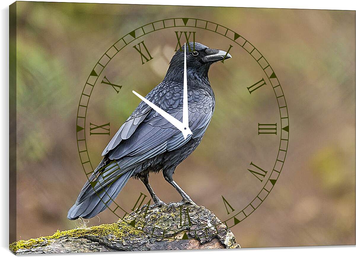 Часы картина - Чёрный ворон сидит на камне