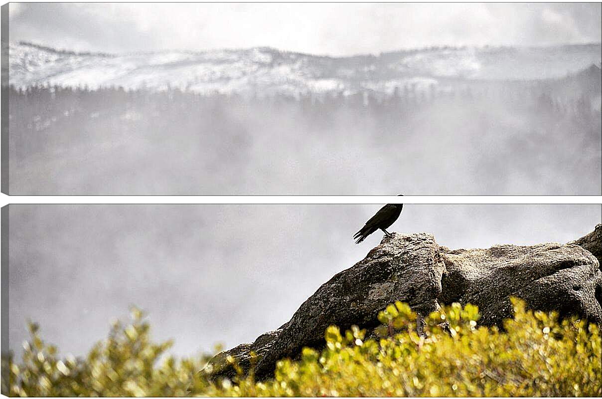 Модульная картина - Чёрный ворон на камне на фоне скалы
