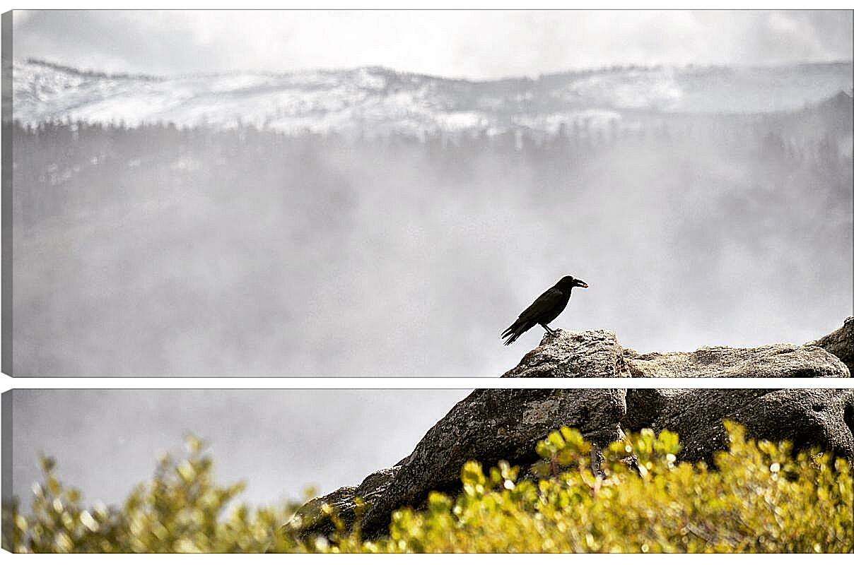Модульная картина - Чёрный ворон на камне на фоне скалы