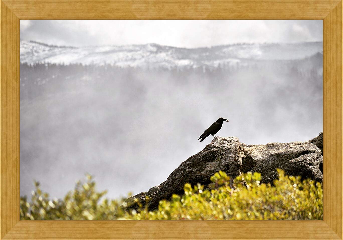 Картина в раме - Чёрный ворон на камне на фоне скалы