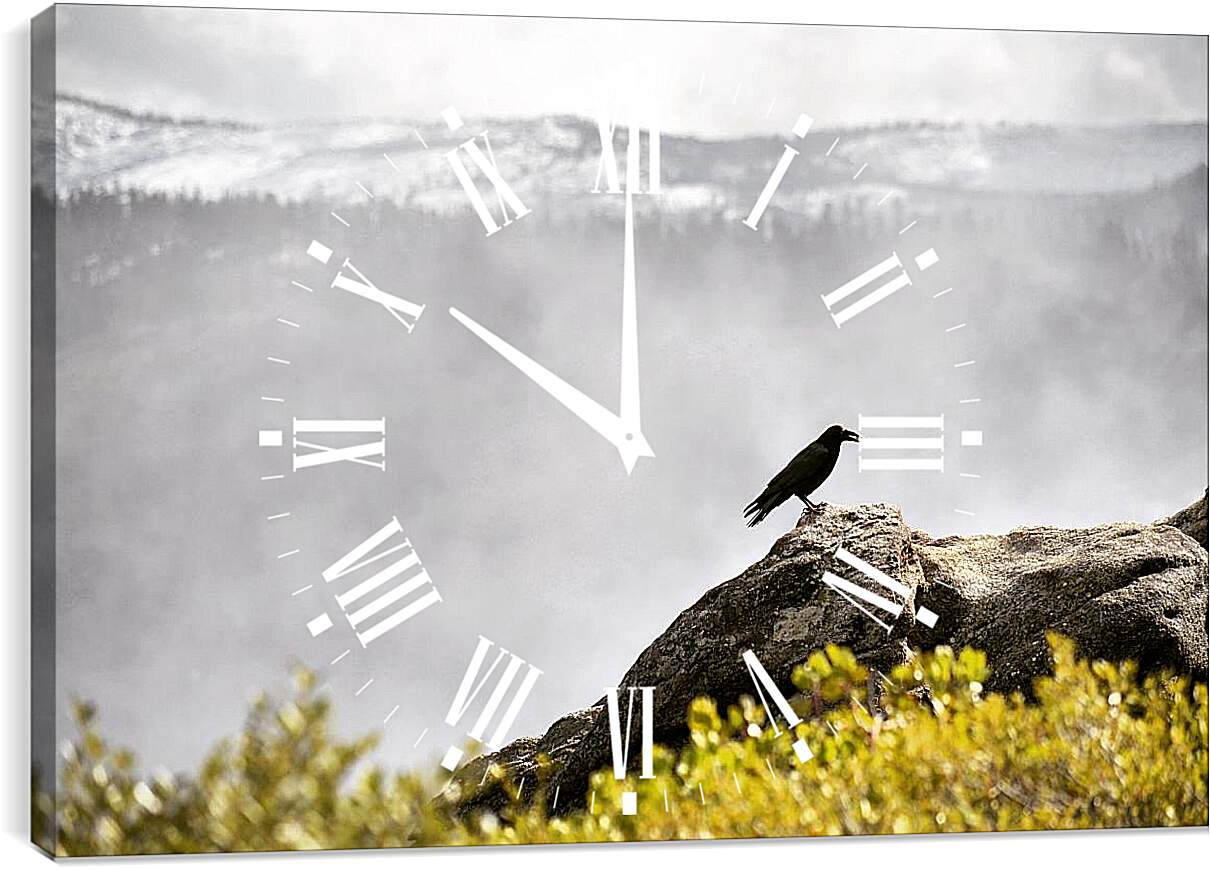 Часы картина - Чёрный ворон на камне на фоне скалы