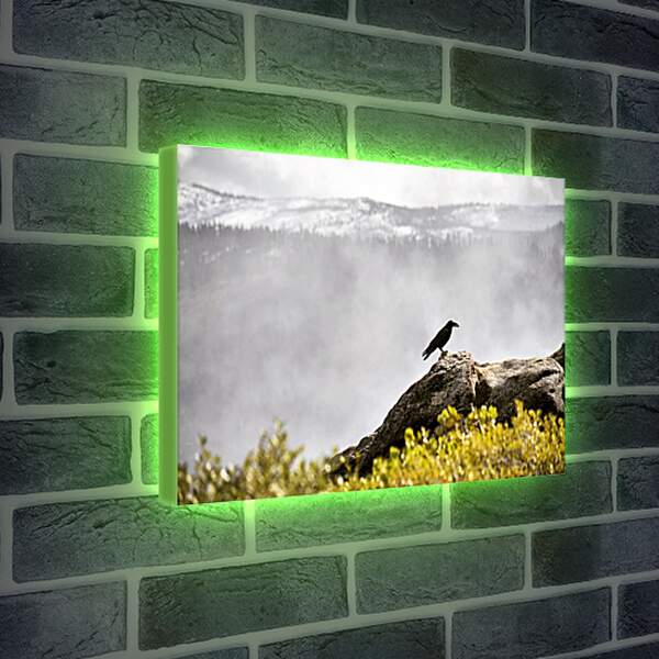 Лайтбокс световая панель - Чёрный ворон на камне на фоне скалы