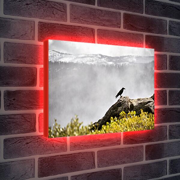 Лайтбокс световая панель - Чёрный ворон на камне на фоне скалы