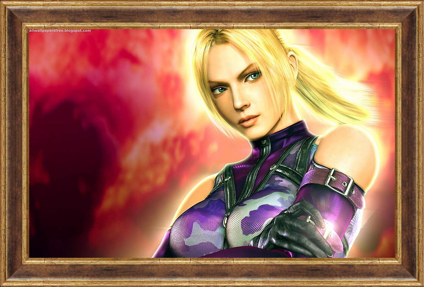 Картина в раме - Tekken 5
