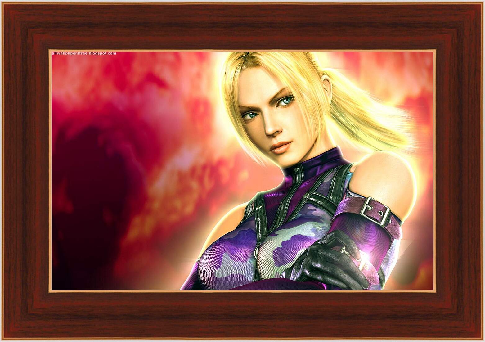 Картина в раме - Tekken 5
