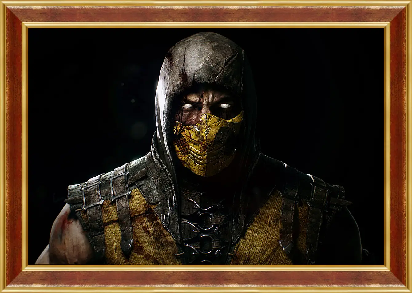 Картина в раме - Mortal Kombat X
