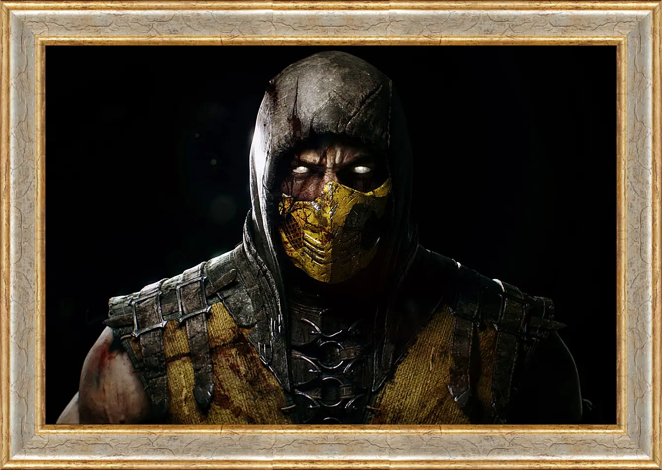 Картина в раме - Mortal Kombat X
