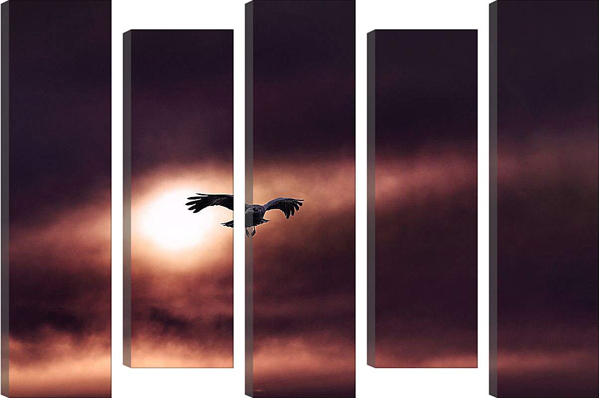 Модульная картина - Чёрный ворон на фоне солнца