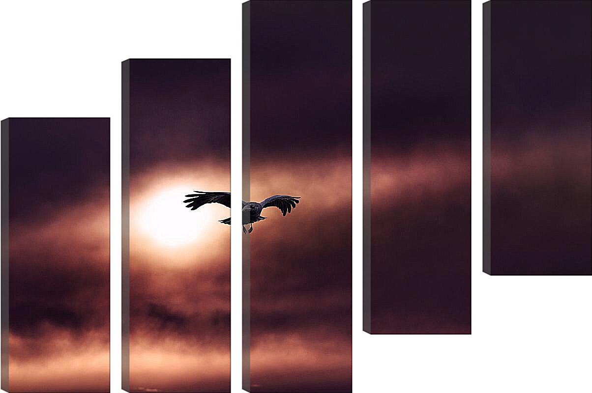 Модульная картина - Чёрный ворон на фоне солнца