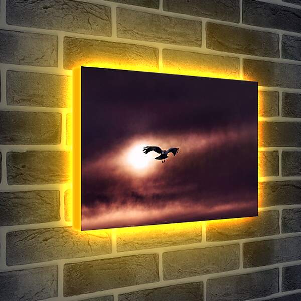 Лайтбокс световая панель - Чёрный ворон на фоне солнца