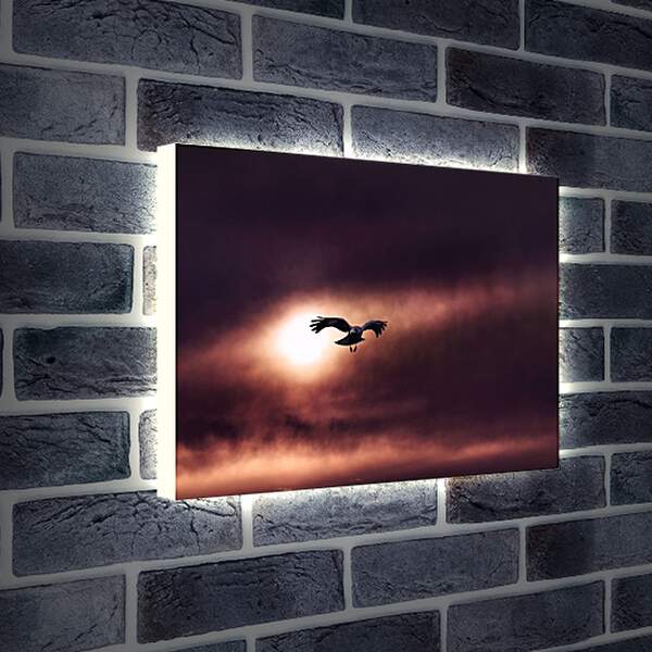 Лайтбокс световая панель - Чёрный ворон на фоне солнца