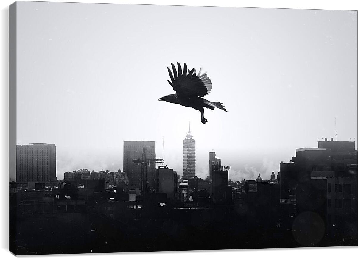 Постер и плакат - Чёрный ворон в полёте над городом