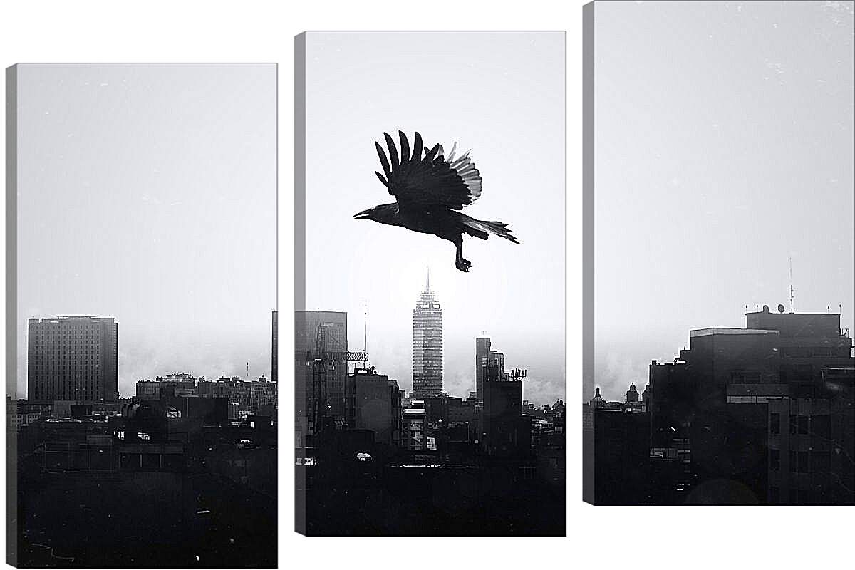 Модульная картина - Чёрный ворон в полёте над городом