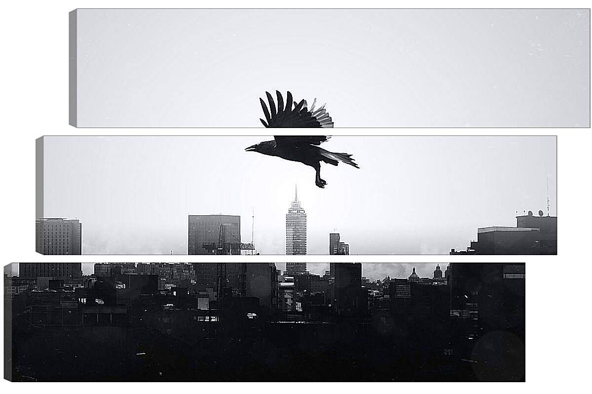 Модульная картина - Чёрный ворон в полёте над городом