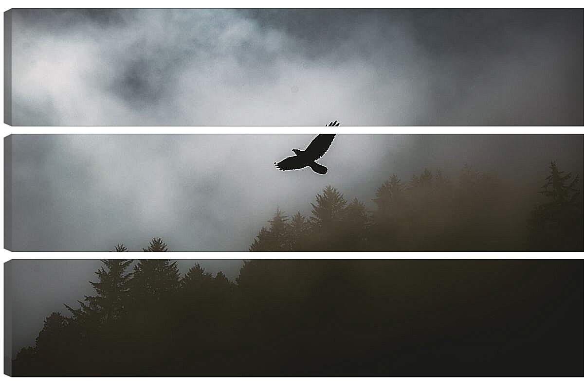 Модульная картина - Чёрный ворон в полёте над лесом