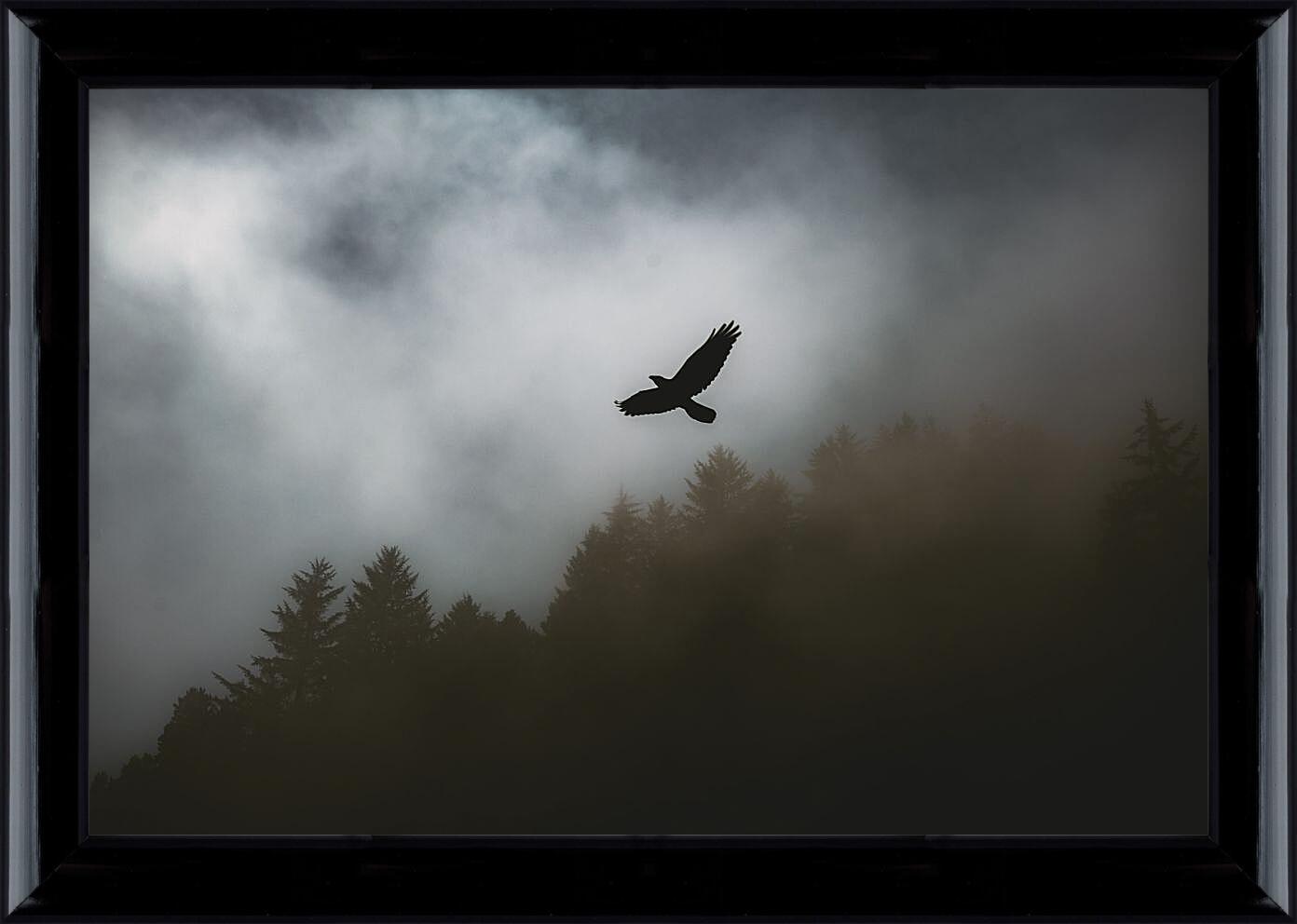 Картина в раме - Чёрный ворон в полёте над лесом