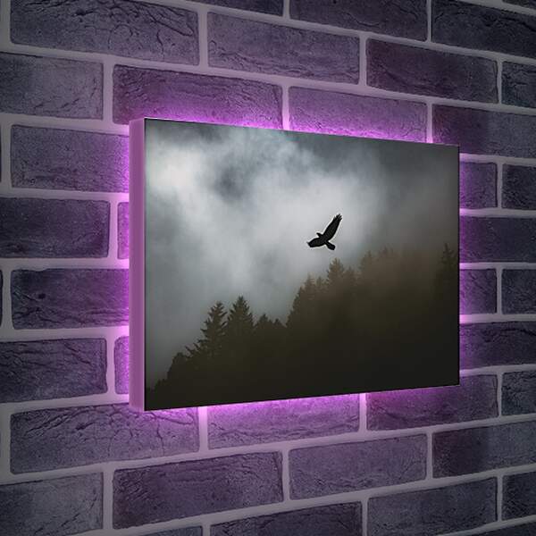 Лайтбокс световая панель - Чёрный ворон в полёте над лесом