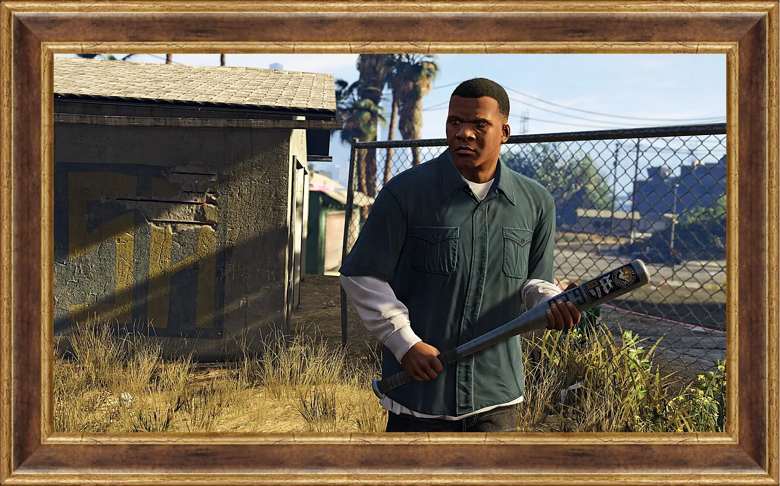 Картина в раме - Grand Theft Auto V
