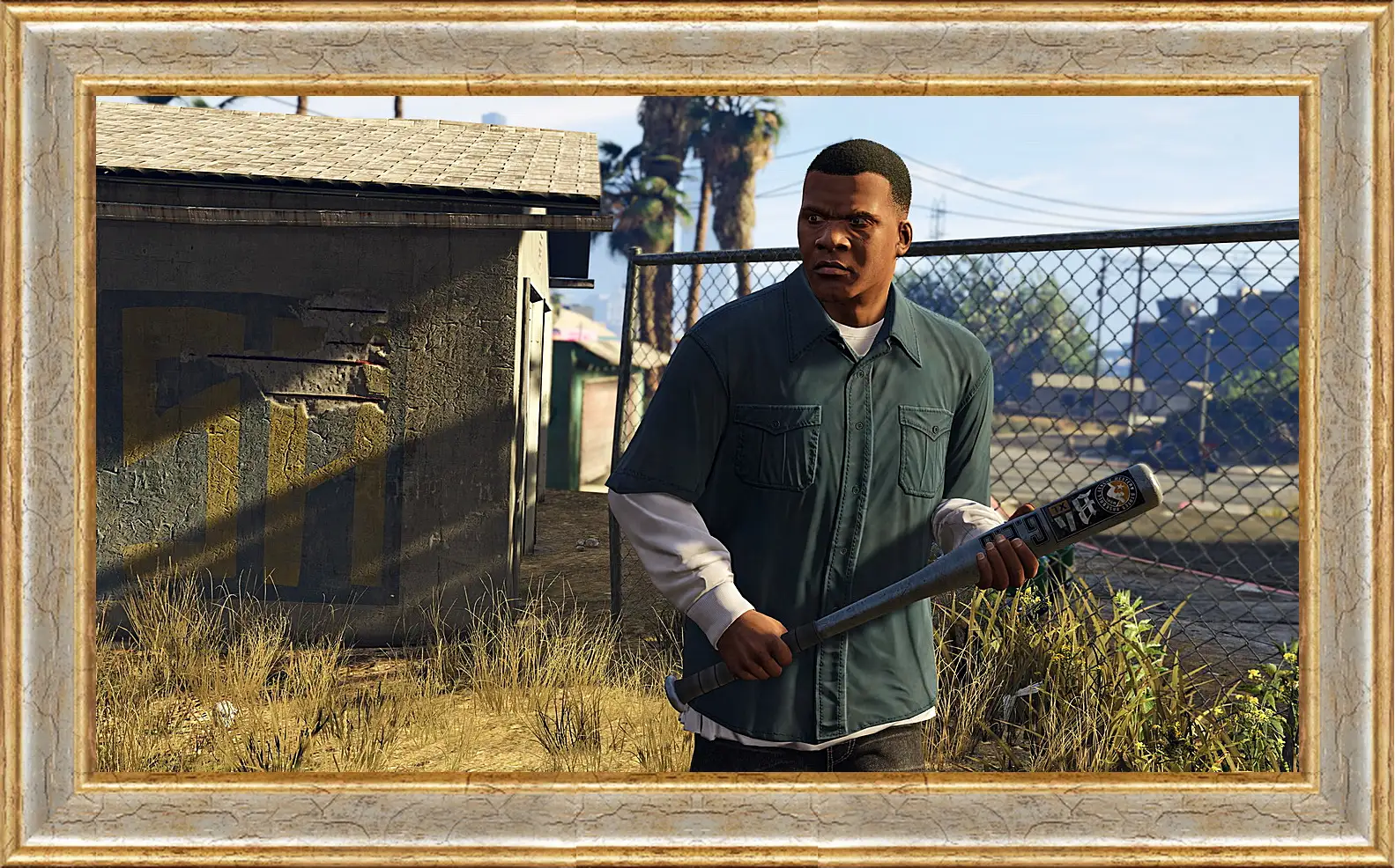 Картина в раме - Grand Theft Auto V
