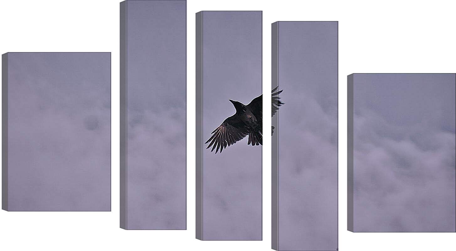 Модульная картина - Чёрный ворон в небе