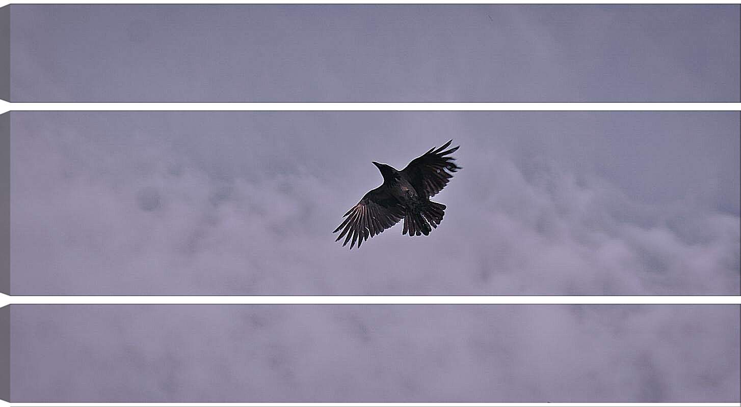 Модульная картина - Чёрный ворон в небе