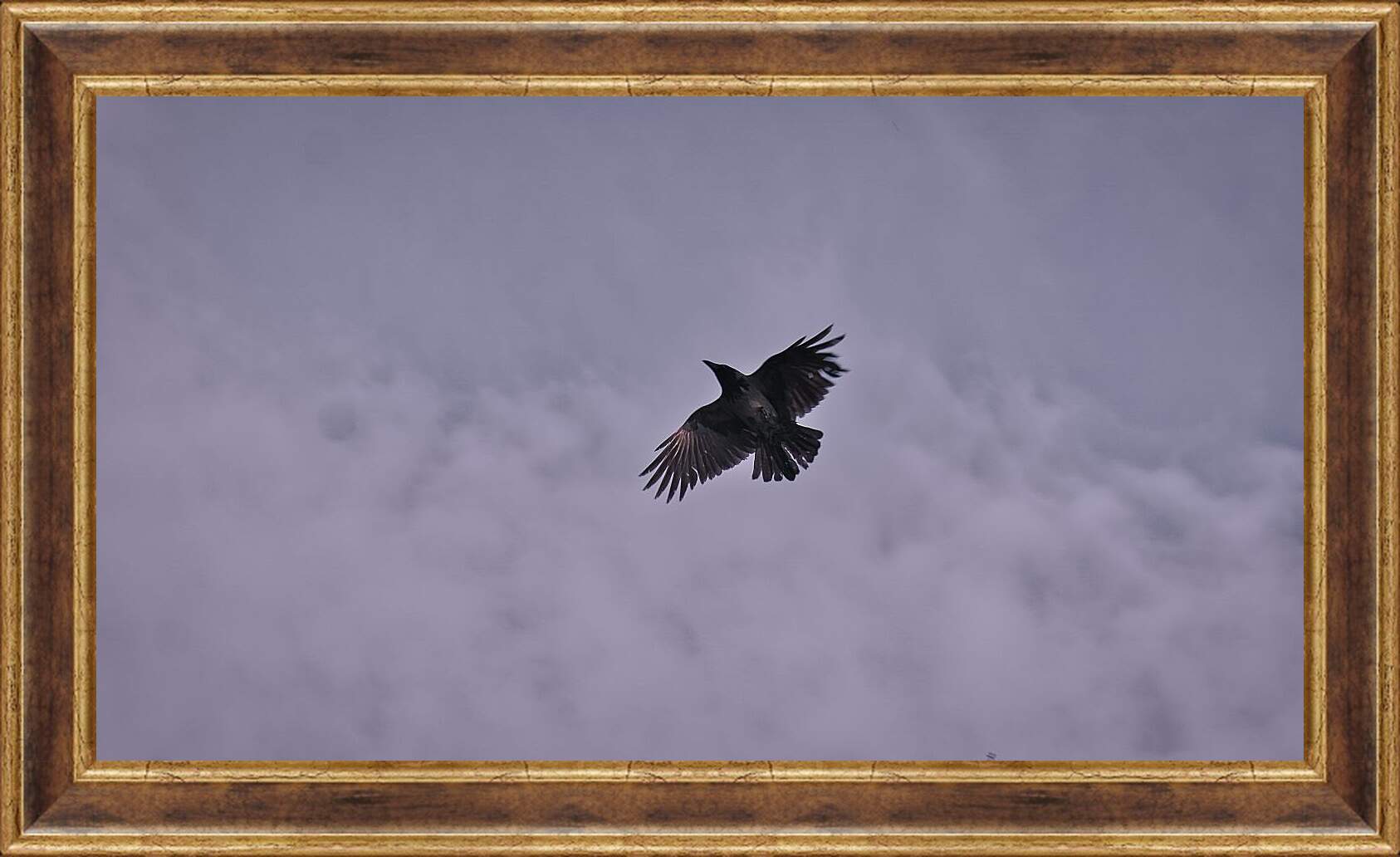 Картина в раме - Чёрный ворон в небе