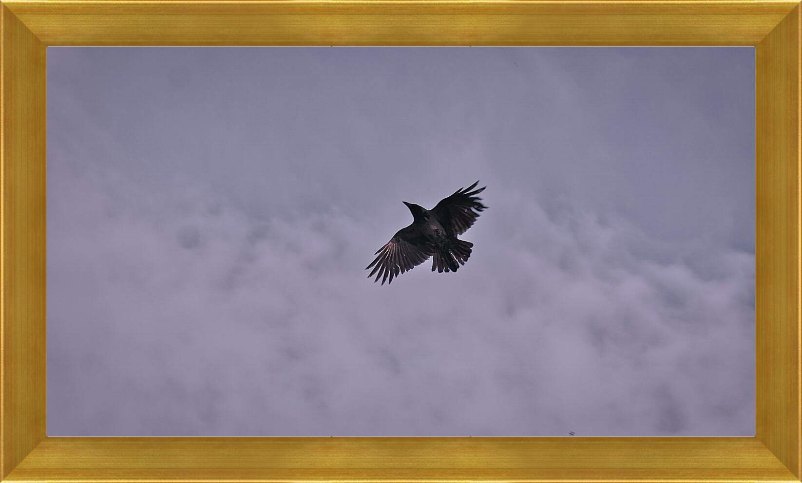 Картина в раме - Чёрный ворон в небе
