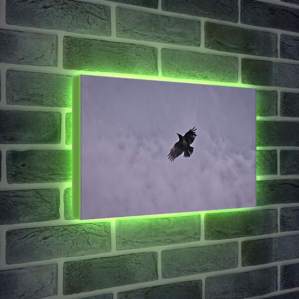 Лайтбокс световая панель - Чёрный ворон в небе